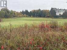 LOT 18 CONCESSION 3 STREET | Seguin Ontario | Slide Image Eight