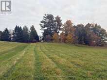 LOT 18 CONCESSION 3 STREET | Seguin Ontario | Slide Image Nine