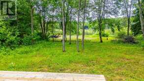 0 SPRING VALLEY ROAD | Minden Hills Ontario | Slide Image Twenty-two