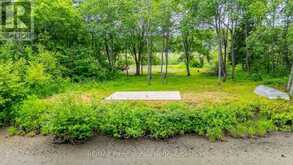 0 SPRING VALLEY ROAD | Minden Hills Ontario | Slide Image Four
