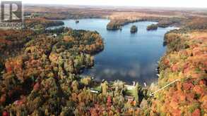 346 EAST WHALLEY LAKE ROAD | Magnetawan Ontario | Slide Image One