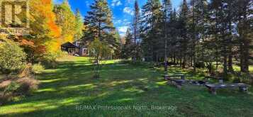 346 EAST WHALLEY LAKE ROAD | Magnetawan Ontario | Slide Image Thirty-one