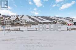404 - 796468 GREY 19 ROAD | The Blue Mountains Ontario | Slide Image Thirty-five