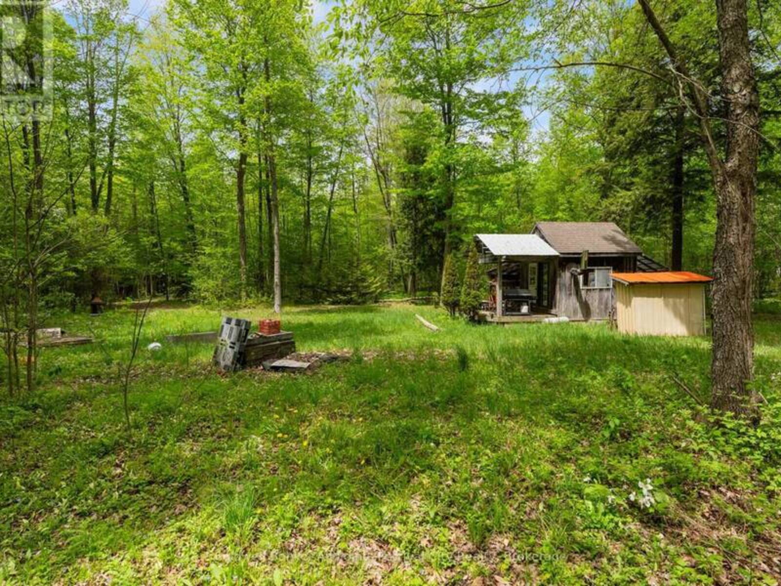 36718 RIVER ROAD, Lucknow, Ontario N0G 2H0