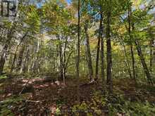 00 KUSHOG LAKE ROAD | Haliburton Ontario | Slide Image Ten