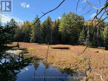 00 KUSHOG LAKE ROAD | Haliburton Ontario | Slide Image Fifteen