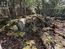 00 KUSHOG LAKE ROAD | Haliburton Ontario | Slide Image Sixteen