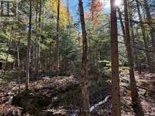 00 KUSHOG LAKE ROAD | Haliburton Ontario | Slide Image Twenty