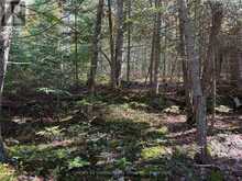 00 KUSHOG LAKE ROAD | Haliburton Ontario | Slide Image Twenty-one