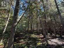 00 KUSHOG LAKE ROAD | Haliburton Ontario | Slide Image Twenty-two