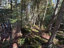 00 KUSHOG LAKE ROAD | Haliburton Ontario | Slide Image Twenty-four