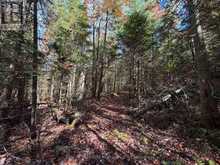 00 KUSHOG LAKE ROAD | Haliburton Ontario | Slide Image Twenty-five