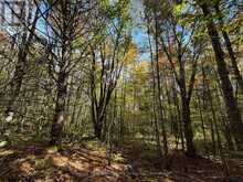 00 KUSHOG LAKE ROAD | Haliburton Ontario | Slide Image Twenty-eight