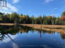 00 KUSHOG LAKE ROAD | Haliburton Ontario | Slide Image Two