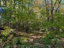 00 KUSHOG LAKE ROAD | Haliburton Ontario | Slide Image Thirty-one