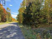00 KUSHOG LAKE ROAD | Haliburton Ontario | Slide Image Three