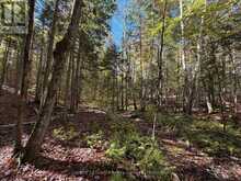 00 KUSHOG LAKE ROAD | Haliburton Ontario | Slide Image Four