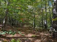 00 KUSHOG LAKE ROAD | Haliburton Ontario | Slide Image Five