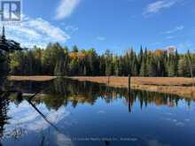 00 KUSHOG LAKE ROAD | Haliburton Ontario | Slide Image Seven