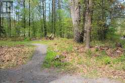 886 MUSKOKA 10 ROAD | Huntsville Ontario | Slide Image Eleven