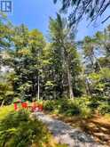886 MUSKOKA 10 ROAD | Huntsville Ontario | Slide Image Twelve