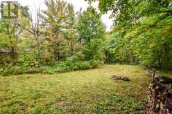 56 MCARTHUR DRIVE | Penetanguishene Ontario | Slide Image Seventeen
