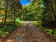 5110 MUSKOKA 117 ROAD | Lake of Bays Ontario | Slide Image Three