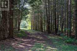 548037 3RD SIDE ROAD | The Blue Mountains Ontario | Slide Image Twenty-nine