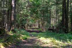 548037 3RD SIDE ROAD | The Blue Mountains Ontario | Slide Image Thirty