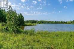 548037 3RD SIDE ROAD | The Blue Mountains Ontario | Slide Image Thirty-five