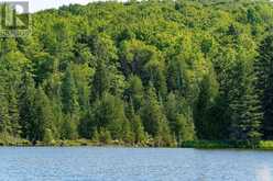 548037 3RD SIDE ROAD | The Blue Mountains Ontario | Slide Image Thirty-seven