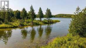 548037 3RD SIDE ROAD | The Blue Mountains Ontario | Slide Image Thirty-eight
