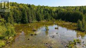 548037 3RD SIDE ROAD | The Blue Mountains Ontario | Slide Image Forty-two