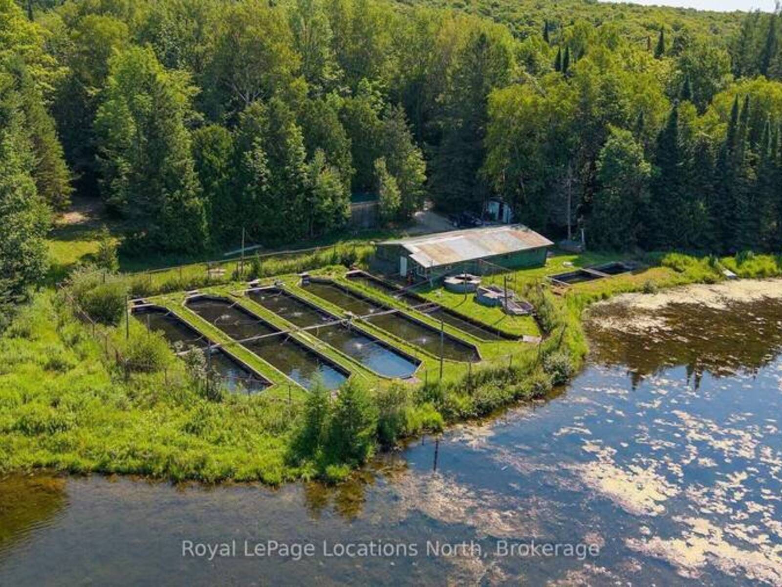 548037 3RD SIDE ROAD, The Blue Mountains, Ontario N0H 2E0