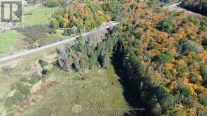 1827 HIGHWAY 141 HIGHWAY | Utterson Ontario | Slide Image Three