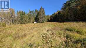 1827 HIGHWAY 141 HIGHWAY | Utterson Ontario | Slide Image Six
