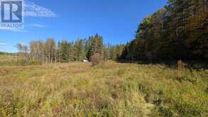 1827 HIGHWAY 141 HIGHWAY | Utterson Ontario | Slide Image Seven