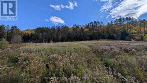 1827 HIGHWAY 141 HIGHWAY | Utterson Ontario | Slide Image Nine