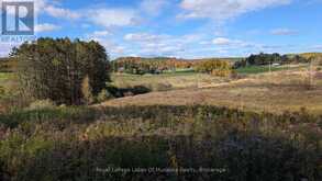 1827 HIGHWAY 141 HIGHWAY | Utterson Ontario | Slide Image Eight