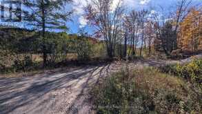 PT LT 14 CON B HIGHWAY 141 HIGHWAY | Utterson Ontario | Slide Image Eleven