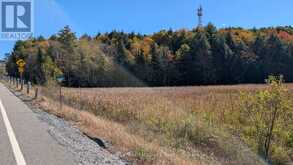 PT LT 14 CON B HIGHWAY 141 HIGHWAY | Utterson Ontario | Slide Image Nine