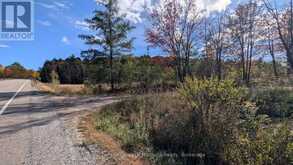 PT LT 14 CON B HIGHWAY 141 HIGHWAY | Utterson Ontario | Slide Image Ten