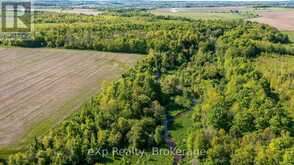 CON 4 SIDEROAD 30 | Meaford Ontario | Slide Image Nine