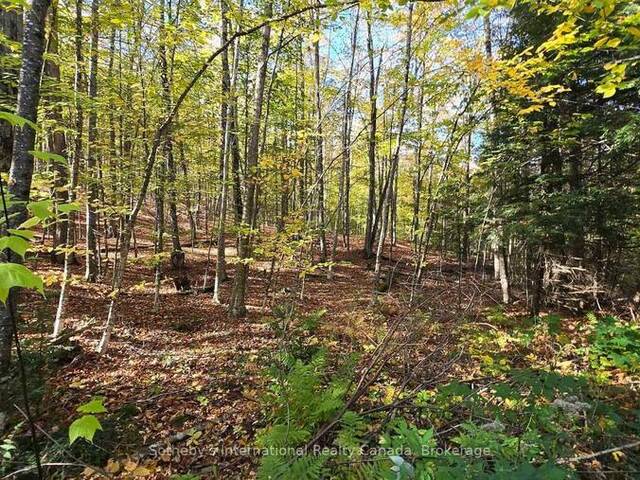 0 MINK LOT 17 ROAD Haliburton Ontario, K0M 1S0 - Vacant Land For Sale