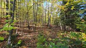 0 MINK LOT 17 ROAD | Haliburton Ontario | Slide Image One