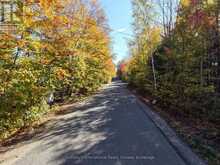 0 MINK LOT 17 ROAD | Haliburton Ontario | Slide Image Six