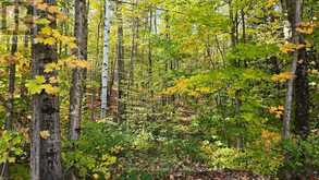 0 MINK LOT 17 ROAD | Haliburton Ontario | Slide Image Seven