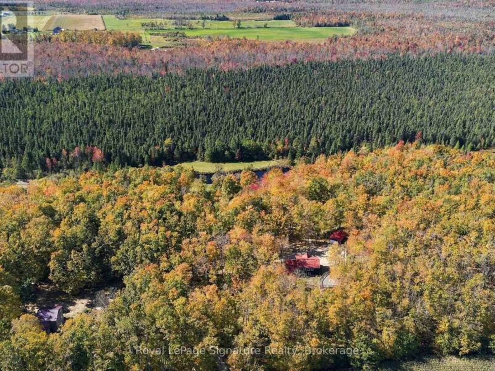 573042 SIDE ROAD 57A, Grey Highlands, Ontario N0C 1A0