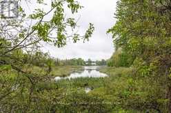 463 WOLSLEY STREET | Lucknow Ontario | Slide Image Thirty-three