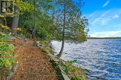 6 & 8 MILL HEIGHTS ROAD | McDougall Ontario | Slide Image Four
